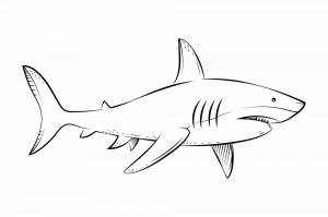Раскраска акула для детей 4 5 лет #33 #197057