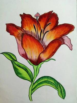 Раскраска аленький цветочек рисунок #9 #197823