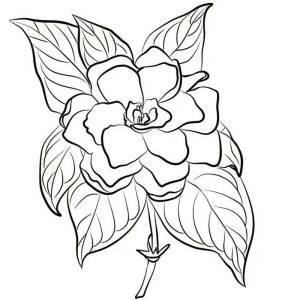 Раскраска аленький цветочек рисунок #29 #197843