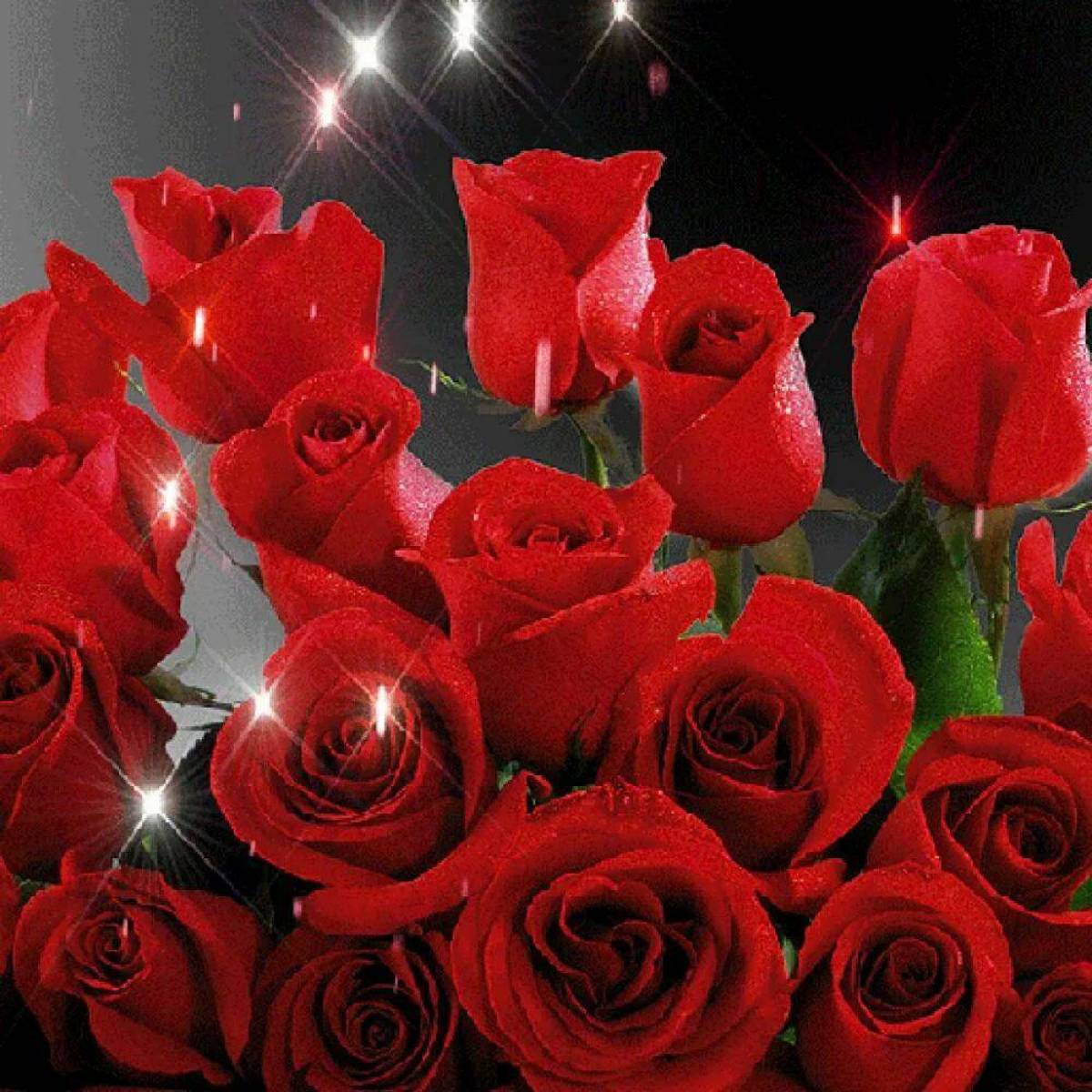 Мерцающие розы с днем рождения женщине красивые. Шикарные цветы. Открытка цветы. Красивый букет роз.