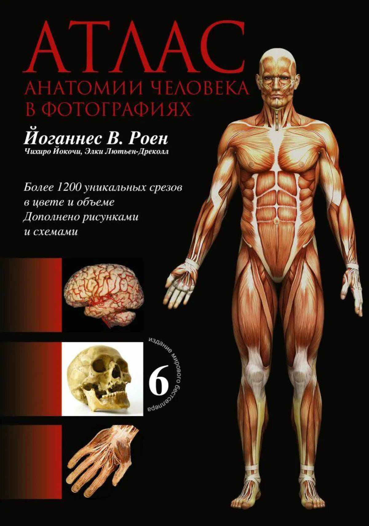 Анатомия атлас #1