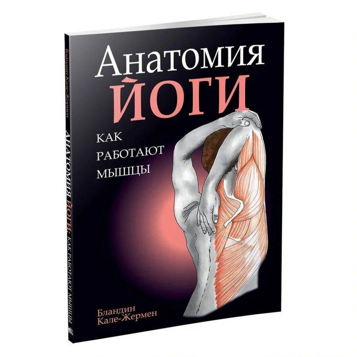 Анатомия йоги атлас #6