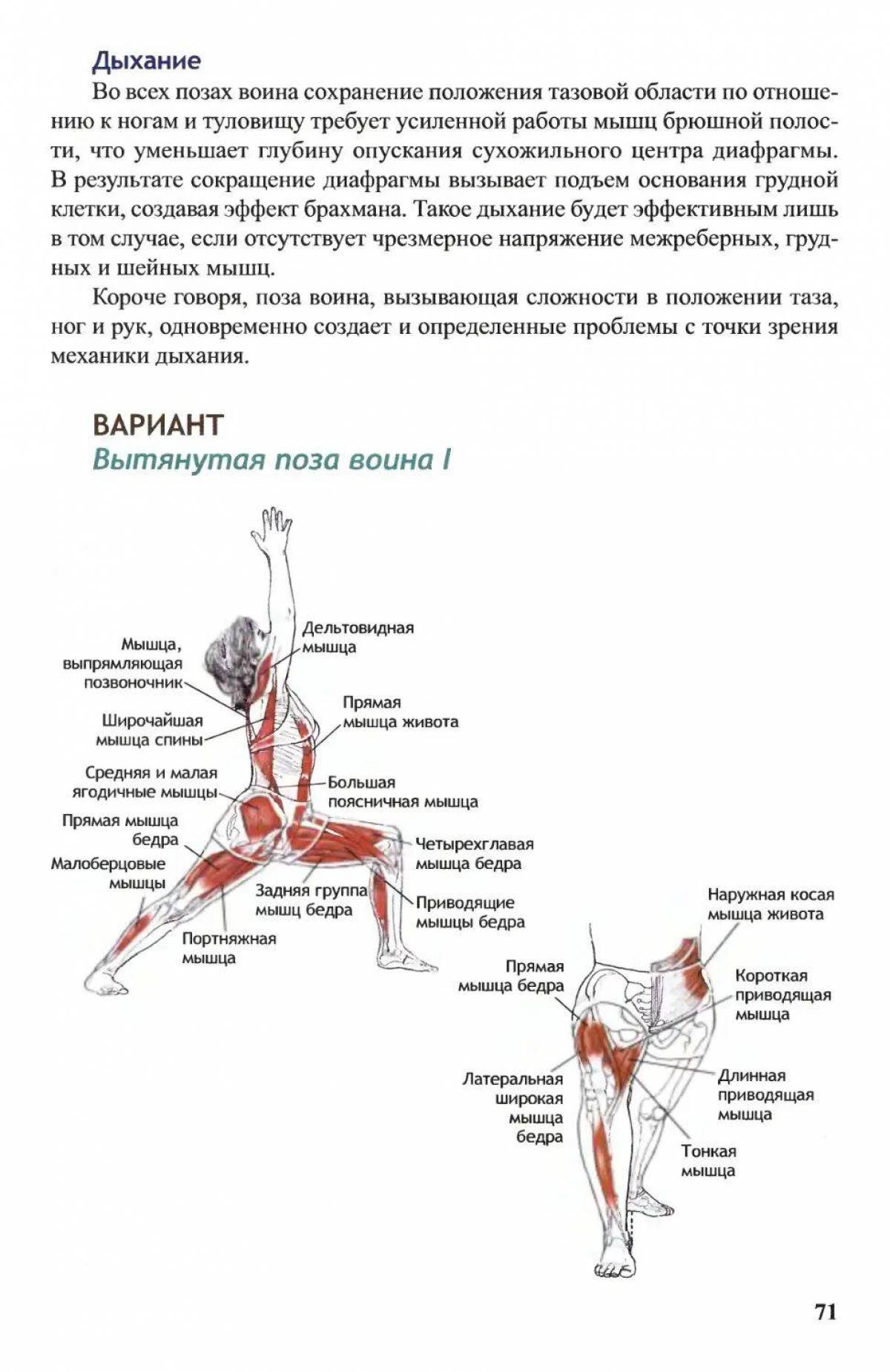 Поза воина Вирабхадрасана 1