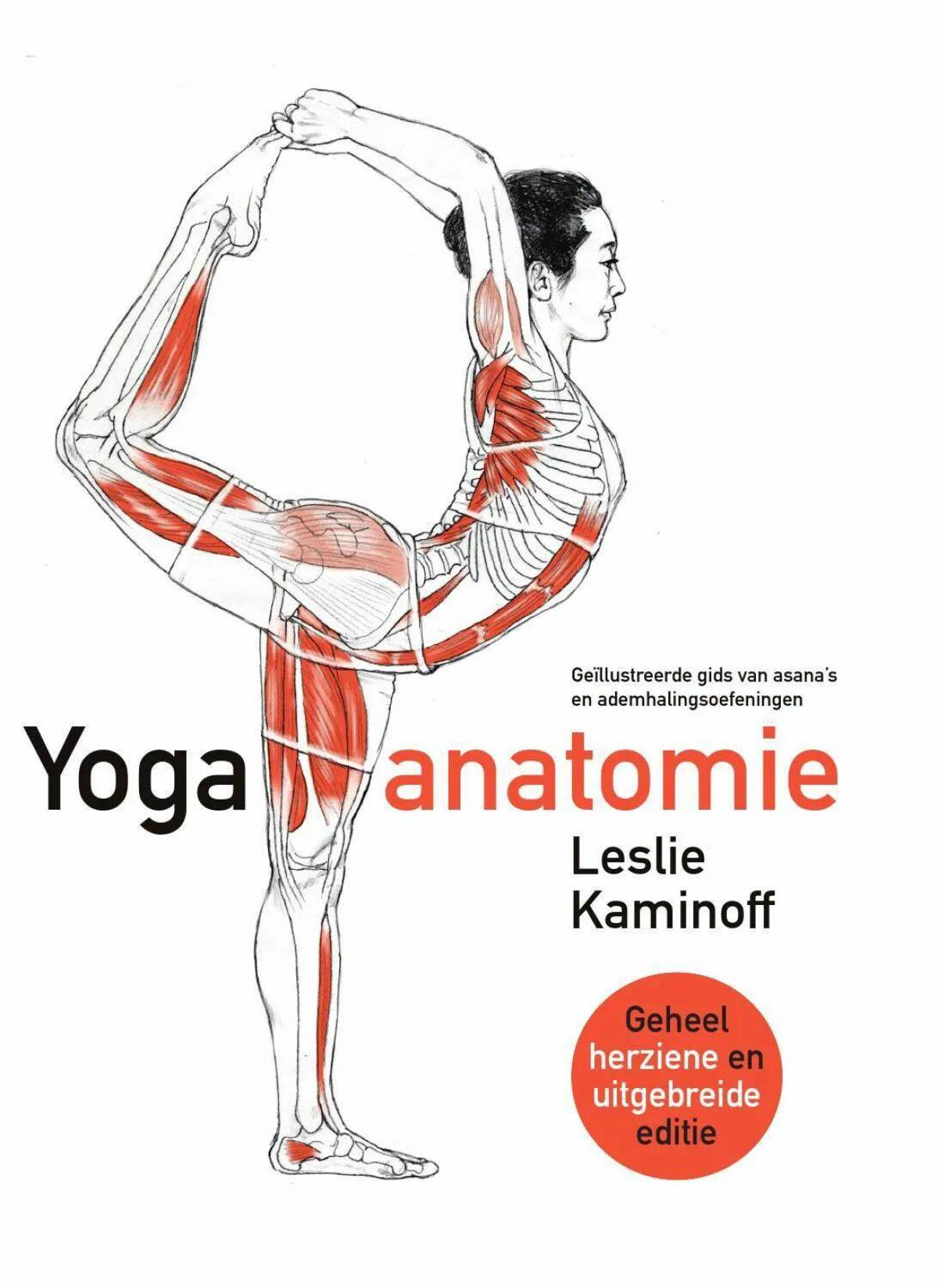 Анатомия йоги атлас #20