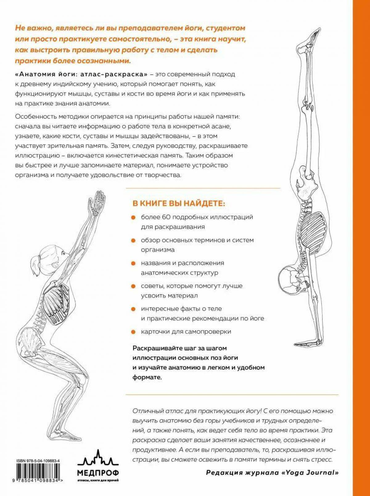 Анатомия йоги атлас #23