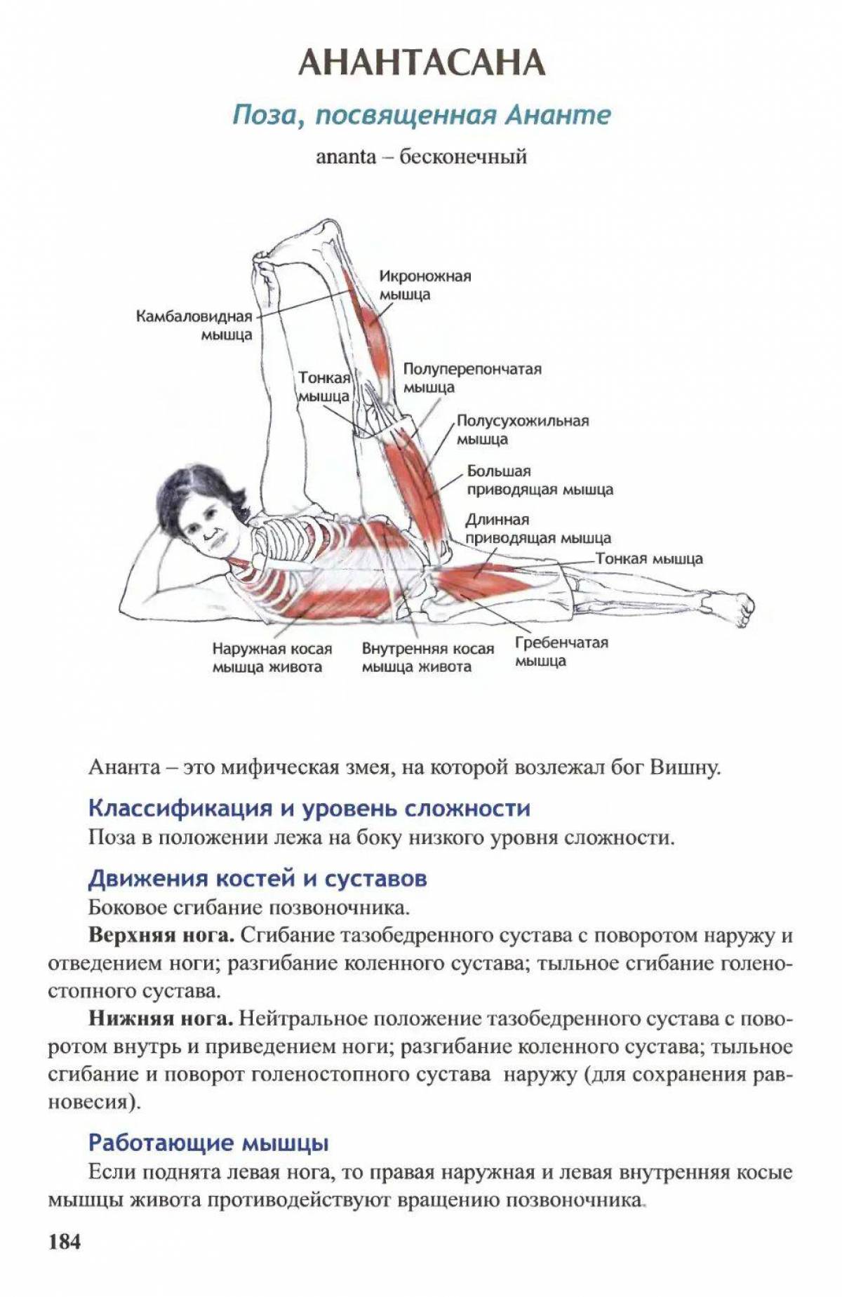 Анатомия йоги атлас #28