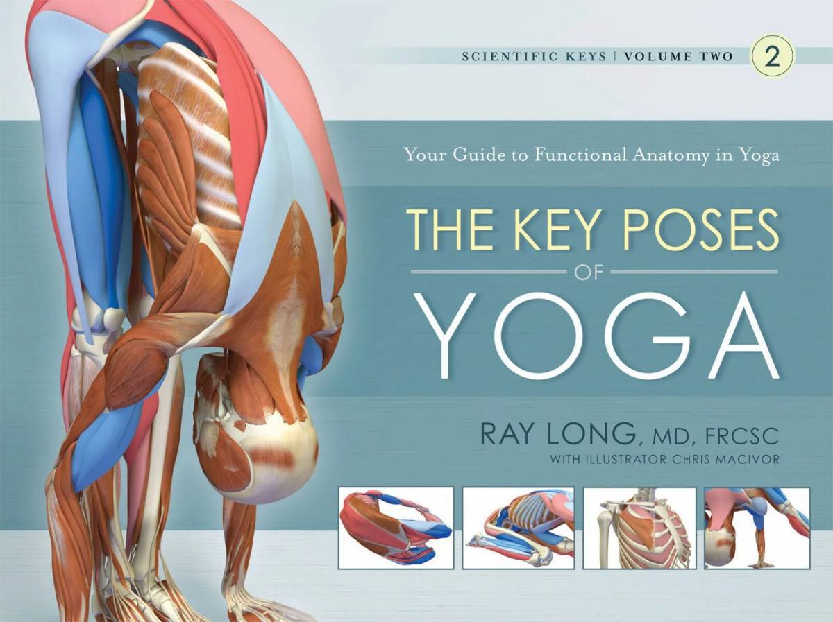 Анатомия йоги атлас #29