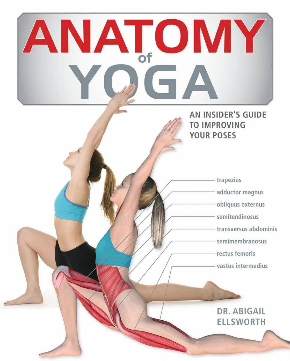 Анатомия йоги атлас #30