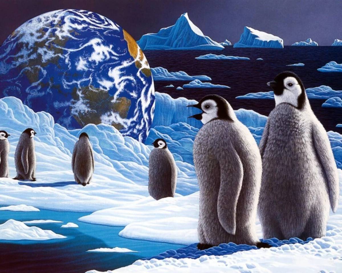 Антарктида для детей #29