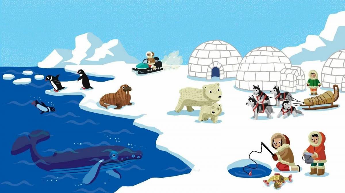 Антарктида для детей 6 7 #26