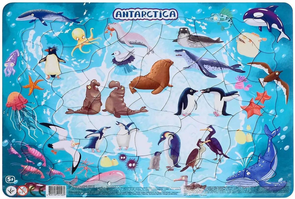 Антарктида для детей 6 7 #31