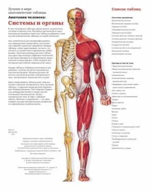 Раскраска анатомический атлас #5 #200444