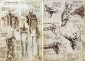 Раскраска анатомия атлас #27 #200505