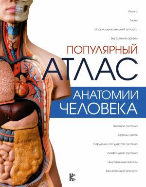 Раскраска анатомия атлас #36 #200514