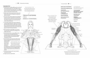 Раскраска анатомия йоги атлас #3 #200520