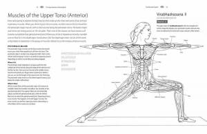 Раскраска анатомия йоги атлас #4 #200521