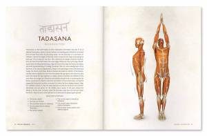 Раскраска анатомия йоги атлас #5 #200522