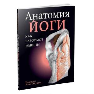 Раскраска анатомия йоги атлас #6 #200523
