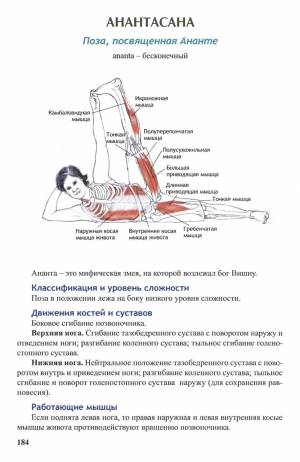 Раскраска анатомия йоги атлас #28 #200545