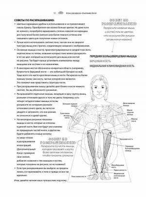 Раскраска анатомия йоги атлас #34 #200551