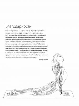 Раскраска анатомия йоги атлас #38 #200555