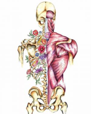Раскраска анатомия человека #16 #200571
