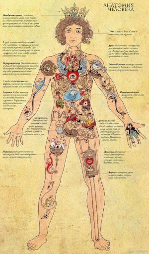 Раскраска анатомия человека #37 #200592