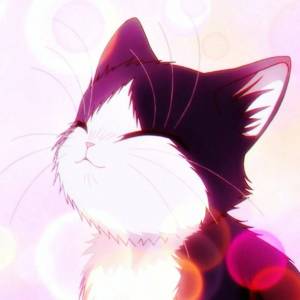 Раскраска аниме кот #12 #202364