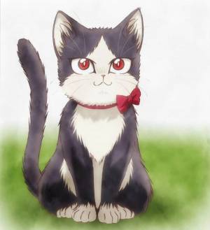Раскраска аниме кот #13 #202365