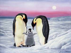 Раскраска антарктида для детей #17 #203903