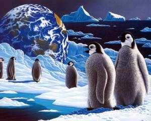 Раскраска антарктида для детей #29 #203915