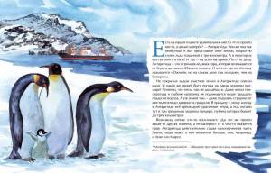 Раскраска антарктида для детей 6 7 #1 #203926