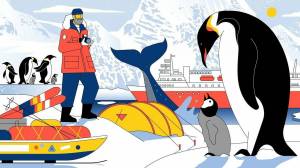 Раскраска антарктида для детей 6 7 #5 #203930