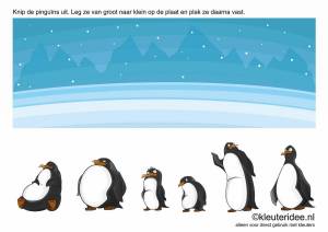 Раскраска антарктида для детей 6 7 #11 #203936