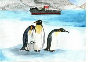 Раскраска антарктида для детей 6 7 #17 #203942