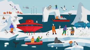 Раскраска антарктида для детей 6 7 #20 #203945