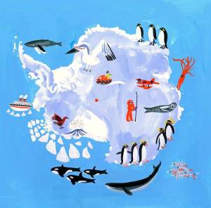 Раскраска антарктида для детей 6 7 #23 #203948