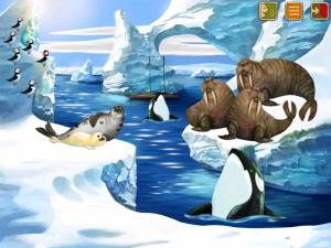 Раскраска антарктида для детей 6 7 #28 #203953