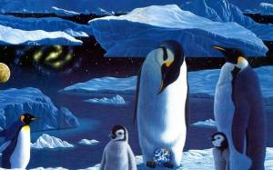 Раскраска антарктида для детей 6 7 #33 #203958