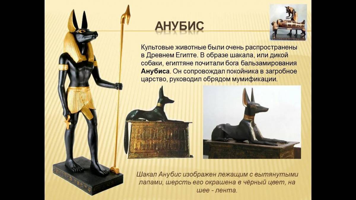 Анубис бог древнего египта #38