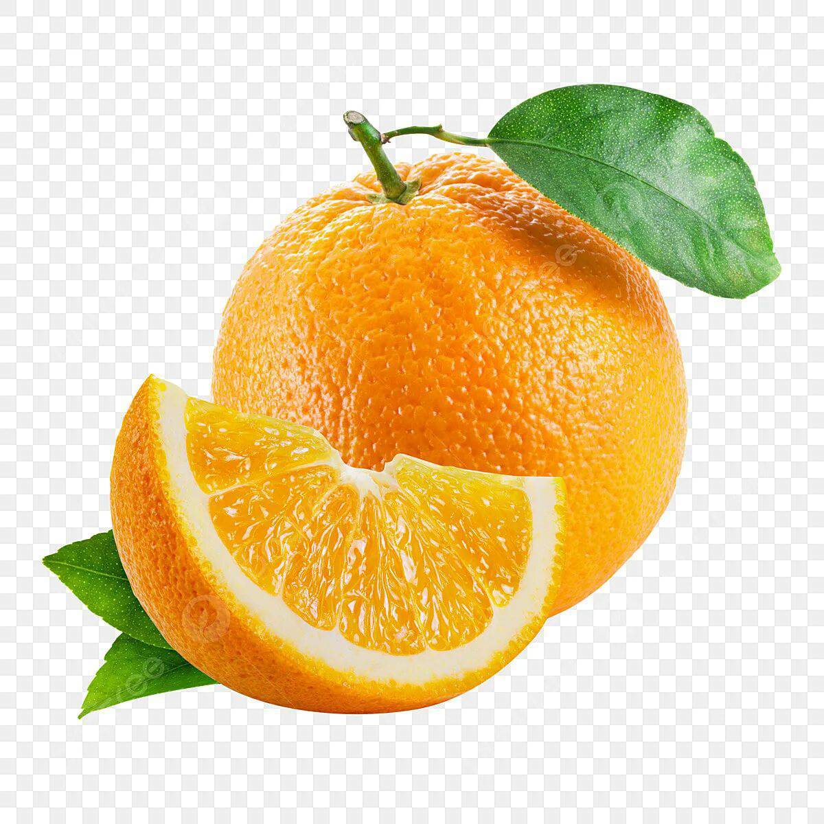 Апельсин для детей 2 3 лет #29