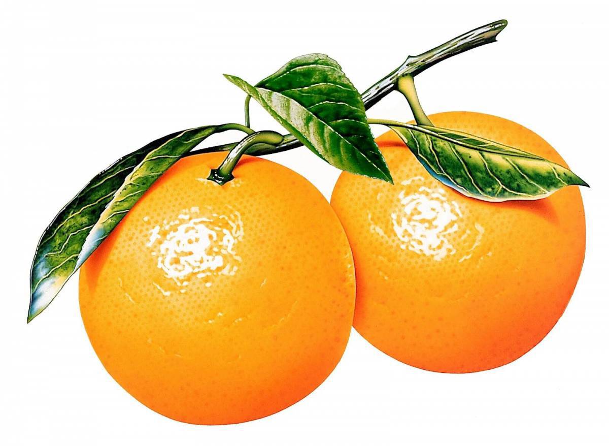 Апельсин для детей 2 3 лет #32