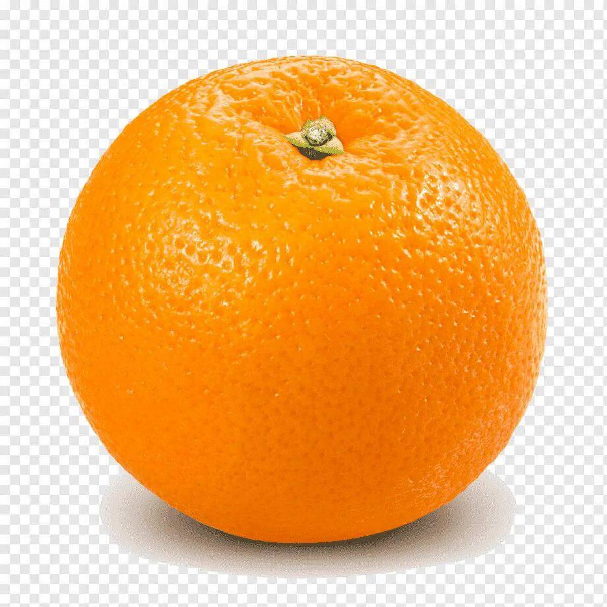 Апельсин раскраска - 54 фото