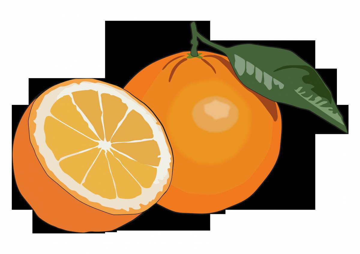 Апельсин. Раскраска для дошкольников