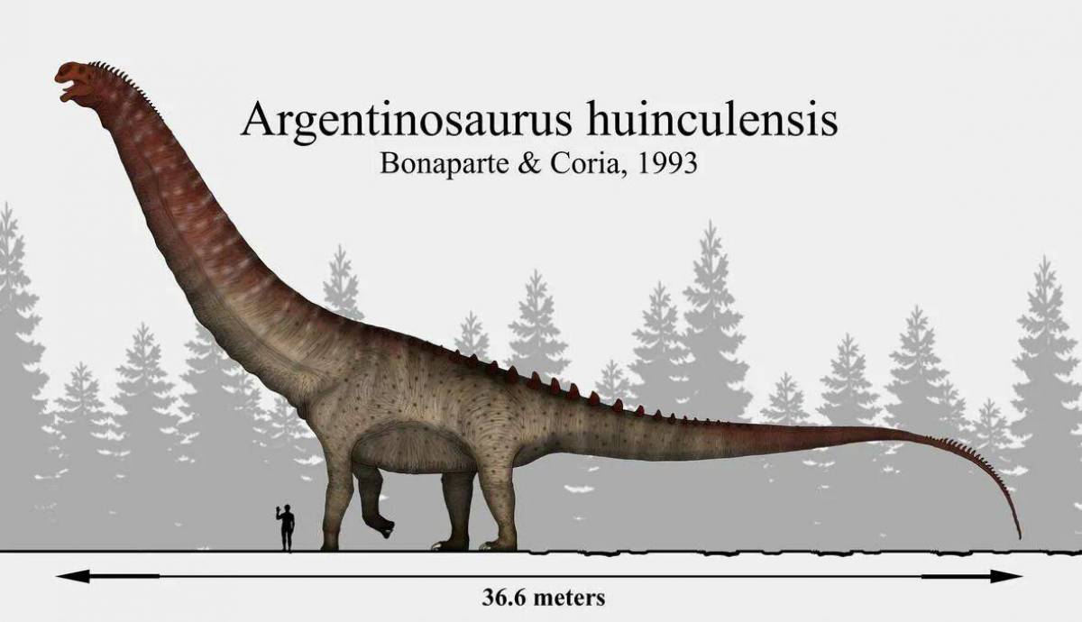 Аргентинозавр #3