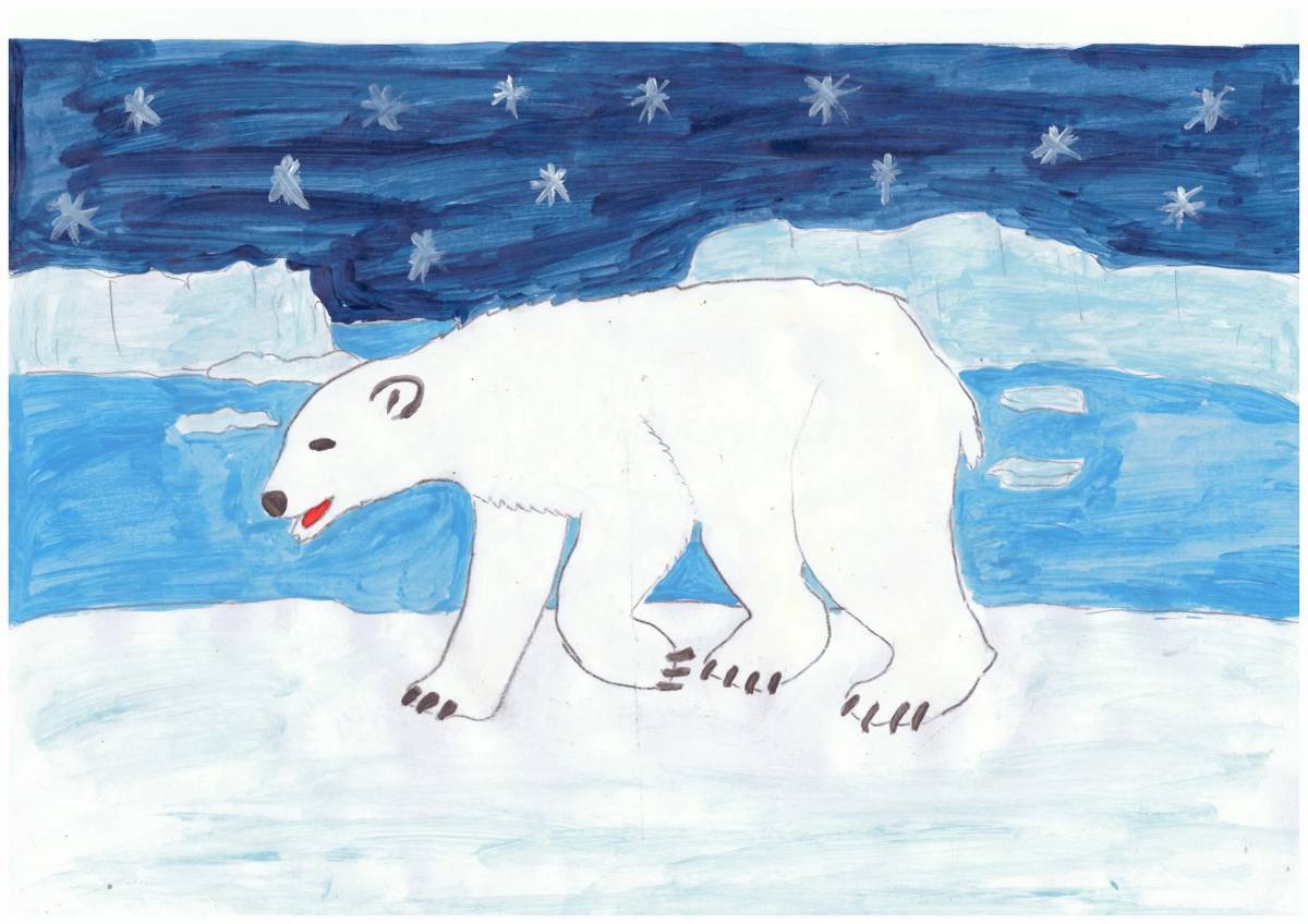 Арктика для детей #5