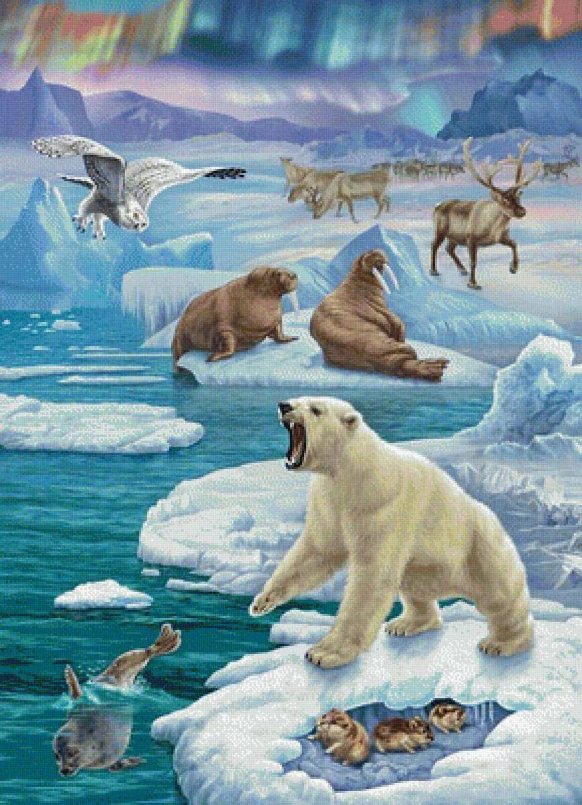 Арктика для детей #20