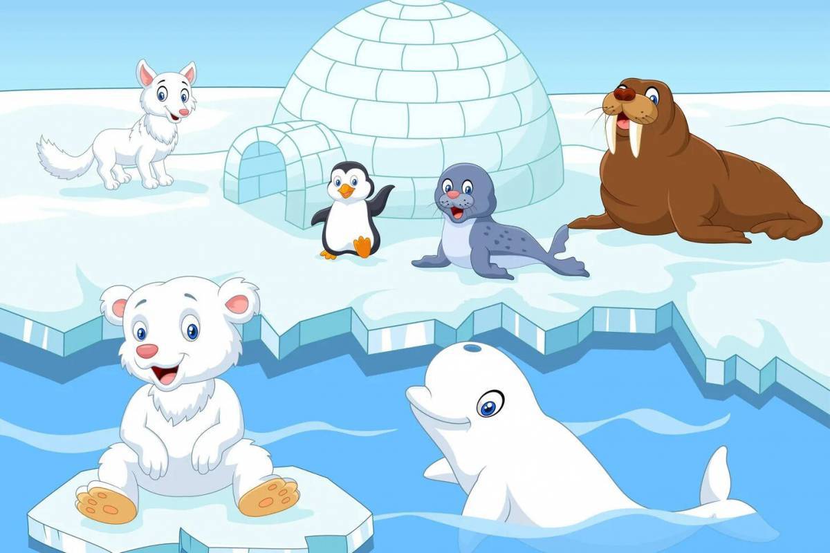 Арктика для детей #30