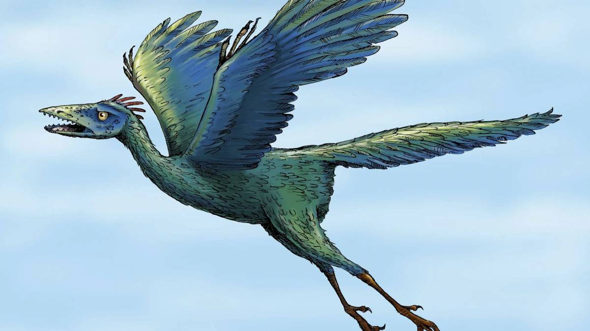 летающие динозавры с перьями названия