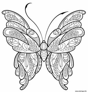 Раскраска антистресс бабочка #1 #204253